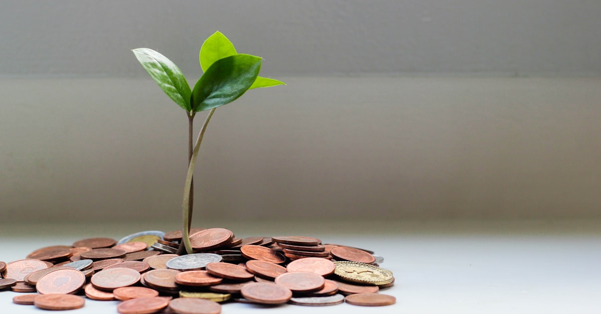 Financial planner comparing term and whole life insurance policy documents